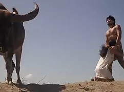 Applicazione di tett ...