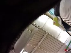 Il mio video hard gr ...