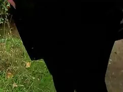 4k e 4 pollo adolesc ...